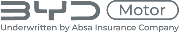 BYD Flows Logo
